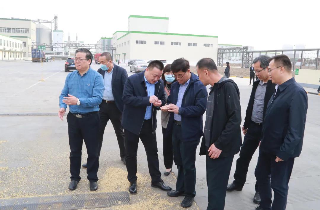Representatives of the National Food System Working Conference visited Xiangchi for inspection and e(图3)