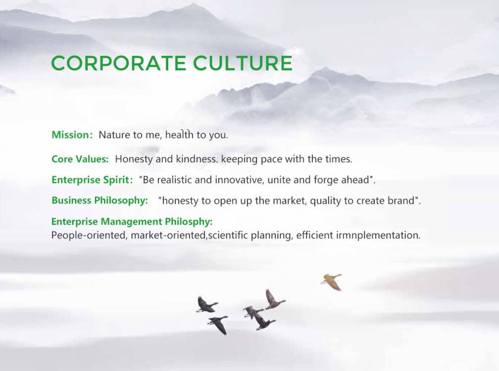 Company Culture(图1)